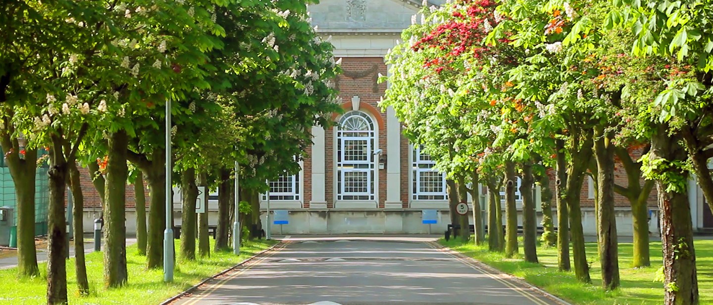 USP Palmer's Campus